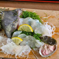 三浦海岸　城ヶ島　相模亭