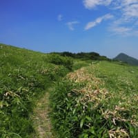 四国カルスト遊歩道（愛媛）
