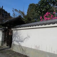吉城園（yoshikien）と東大寺の近く　　20240327