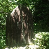 柳井市　大平山尾根をのんびり縦走(2/2)