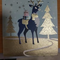今日届いたクリスマスカード