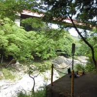 今日の鮎滝_2024-05-24