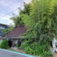 雀のお宿