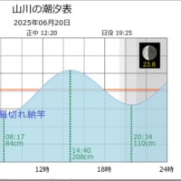鯵釣り