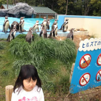 高坂の動物園にて