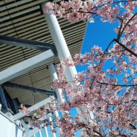 新国立競技場と国立代々木競技場