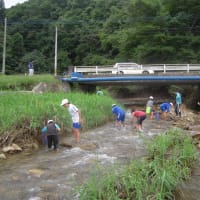 雫石川支流　戸沢川の水生生物調査
