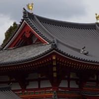 世界文化遺産・宇治、平等院