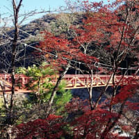 宝塚廃線ハイク