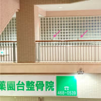 最近の身近な癒し