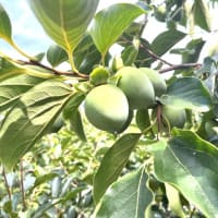 7月27日（日）②