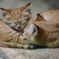 秋の幸せと、人生の醍醐味