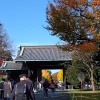 もう12月5日になりますが～