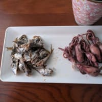 今年もメナード青山ハーブ園に行きたかったけど・・