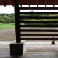 さっきぃツアー ワーキング編