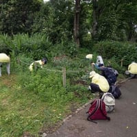 茅葺の建物には燻煙作業が欠かせません