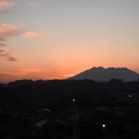 2025年4月26日（土） 大ハンヤ