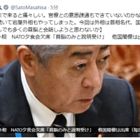 ここまで来ると痛々しい。官僚との意思疎通もできていないのかな？石破総理に続いて岩屋外相もやってしまった。今回は外相は首相名代、