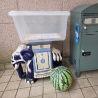 朝からラッキー！