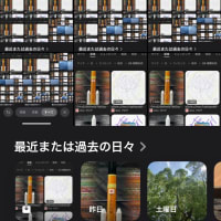 予言が外れる訳は シュレディンガーの猫 観測するとその瞬間に結果が変わる 観測されたという状態で更新されてしまう 予言することで破局的な悲劇を回避出来たとも言えようか 7月5日 津波 予知夢の考察