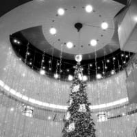 来週はクリスマス