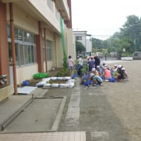 7/7の様子