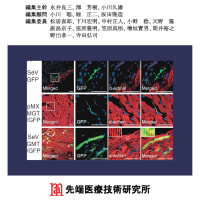 先端医療シリーズ50 「循環器疾患の最新医療」