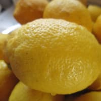 檸檬アイテム2種、販売開始のお知らせ。