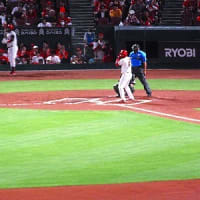 野球観戦とかき氷