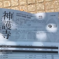 幸福とは感じるもの　人の心に灯をともす 5905より　写真はMさんのプレゼントです(*☻-☻*)ありがとうございますm(__)m