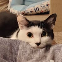 洗濯はできた