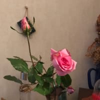 雑バラだが…