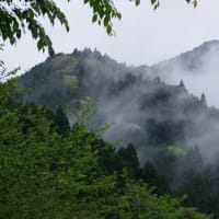 金剛山に霧が流れる