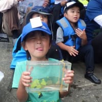 わんぱく遊び隊！通信　2025年7月6日(日)川で魚とりをしよう！