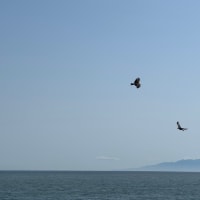 2025/05/03 海に行きました