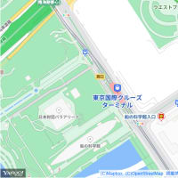 １月のお台場：水と緑のプロムナード散策道とゆりかもめ・旧船の科学館駅　ＰＡＲＴ２