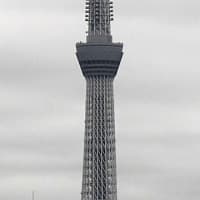 ２０２５／７／１１の朝の東京スカイツリー