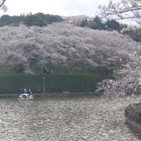 2025/04/08