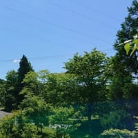 プチツーリング「お天気最高！！」