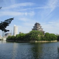 梅雨の谷間？広島城のお堀端をテクテク散歩！広島の街は３０度！夏日のため少し汗ばんできました・・・もう少し歩いて帰ります！