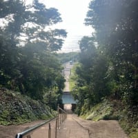 南房総でラーメンと洲崎神社