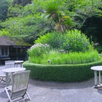 鎌倉散歩～旧華頂宮邸・浄妙寺
