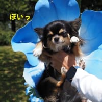 まるで盆踊り？