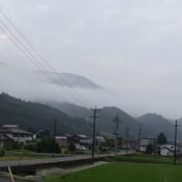 加子母の早朝
