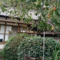 蕎麦屋さん
