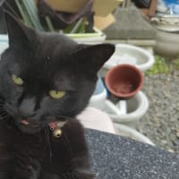 日　記