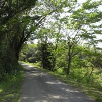 25.04.27ride