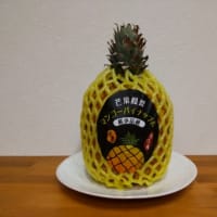 芒果鳳梨
