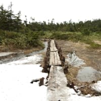 ２０２５年６月６日　北八甲田　仙人岱　地獄湯ノ沢のようす