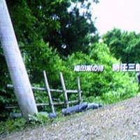 黒い樹海 かこぶろ 黒い樹海 かこぶろ